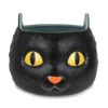 Hallmark Black Cat Glow-in-the-Dark Bowl 2 Hallmark Black Cat Glow-in-the-Dark Bowl -Toy Store Black Cat GlowintheDark Bowl 1HGN1293 01