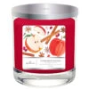 Hallmark Cinnamon Wishes 3-Wick Jar Candle, 16 Oz. -Toy Store Cinnamon Wishes 3Wick Jar Candle 1BGC1073 01