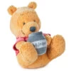 Hallmark Disney Baby Winnie The Pooh Wobble And Chime Stuffed Animal 1 Hallmark Disney Baby Winnie The Pooh Wobble And Chime Stuffed Animal -Toy Store Disney Baby Winnie the Pooh Wobble and Chime Plush 1BBY4805 01