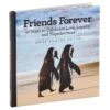 Hallmark Friends Forever: 42 Ways To Celebrate Love, Loyalty And Togetherness Book -Toy Store Friends Forever 42 Ways to Celebrate Love Loyalty and Togetherness Book root 1BOK1438 BOK1438 01.jpg Source Image