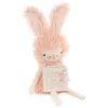 Hallmark MopTops Angora Bunny Stuffed Animal With You Are Loved Board Book 2 Hallmark MopTops Angora Bunny Stuffed Animal With You Are Loved Board Book -Toy Store MopTops Plush Bunny Stuffed Animal Board Book 1KID1531 01