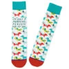 Hallmark Morning Person For My Dog Funny Crew Socks 1 Hallmark Morning Person For My Dog Funny Crew Socks -Toy Store Morning Person Dog Illustrations Novelty Crew Socks 1SOX2082 01