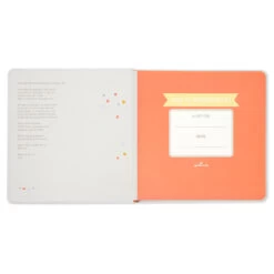 Hallmark One Is Wonderful! Birthday Book -Toy Store One Is Wonderful Birthday Book 1BOK1516 03