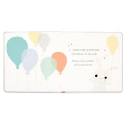 Hallmark One Is Wonderful! Birthday Book -Toy Store One Is Wonderful Birthday Book 1BOK1516 04