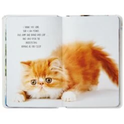 Hallmark Pet Prayers: Funny Pleas And Praise From Our Animal Friends Book 8 Hallmark Pet Prayers: Funny Pleas And Praise From Our Animal Friends Book -Toy Store Pet Prayers Funny Pleas and Praise From Our Animal Friends Book root 1BOK1418 BOK1418 1470 3.jpg Source Image