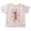 Hallmark Pink First Birthday T-Shirt, 12 Months 2 Hallmark Pink First Birthday T-Shirt, 12 Months -Toy Store Pink First Birthday TShirt 1BBY4772 01