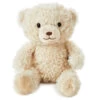 Hallmark Be There When You Can’t Recordable Bear Stuffed Animal, 10” -Toy Store Recordable White Teddy Bear Stuffed Animal 1PSB2189 01