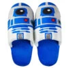 Hallmark Star Wars™ R2-D2™ Slippers With Sound, Small/Medium 2 Hallmark Star Wars™ R2-D2™ Slippers With Sound, Small/Medium -Toy Store Star Wars R2D2 Slippers With Sound 1SLP1006 01