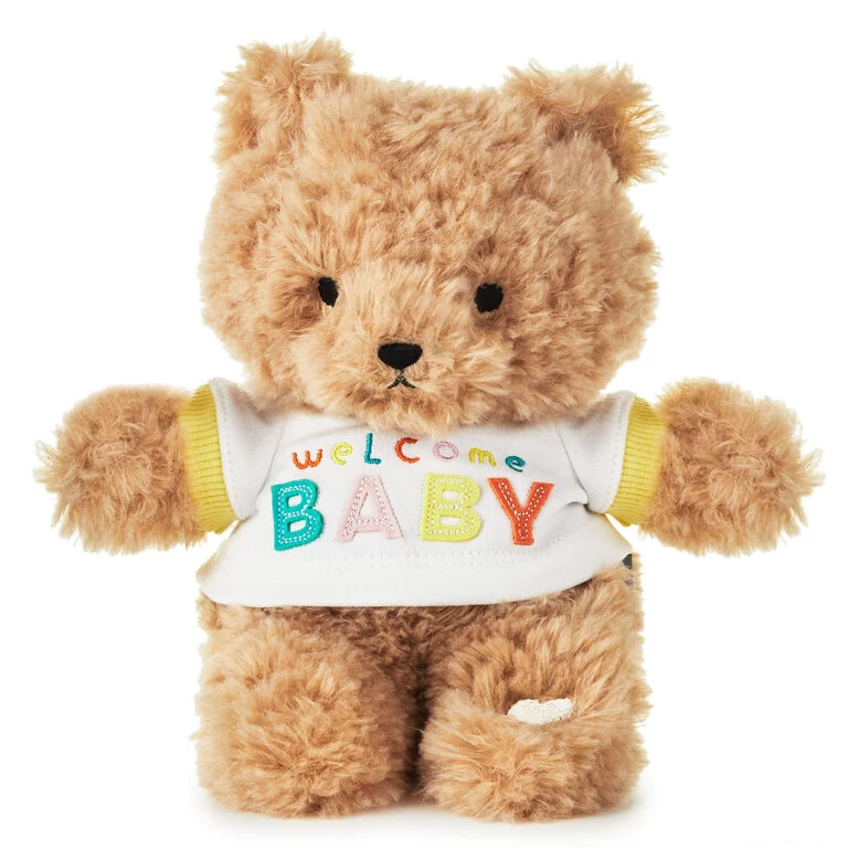 Hallmark Welcome Baby Recordable Teddy Bear Stuffed Animal, 8.75" 3 Hallmark Welcome Baby Recordable Teddy Bear Stuffed Animal, 8.75"
