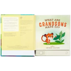 Hallmark What Are Grandsons Made Of? Recordable Storybook 9 Hallmark What Are Grandsons Made Of? Recordable Storybook -Toy Store What Are Grandsons Made Of Recordable Storybook 1KOB1230 03