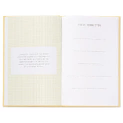 Hallmark While I Was Waiting Prompted Pregnancy Journal -Toy Store Yellow Prompted Pregnancy Journal 1BBA4141 06